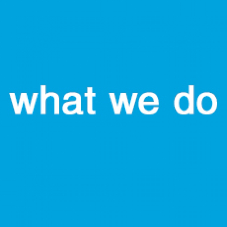 What we do